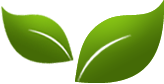 TruFlavorWare® Non-Metallic Flatware — the green leaf logo that never wears off