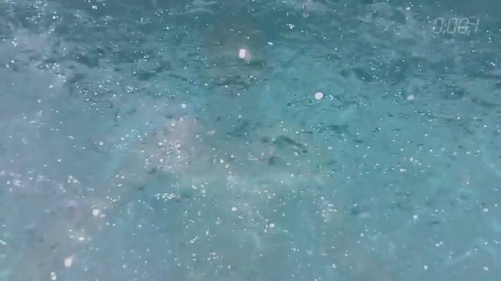 TruFlavorWare Taste-Free Flatware Set — Restore Your Full Taste Spectrum | Non-Metallic, BPA-Free Dining Utensils