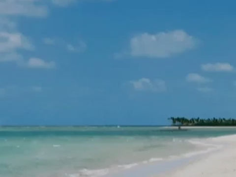 TruFlavorWare Taste-Free Flatware Set — Restore Your Full Taste Spectrum | Non-Metallic, BPA-Free Dining Utensils